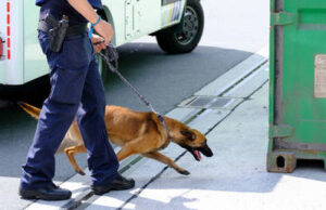Belgium becoming ‘narco state’ – judiciary Belgium becoming ‘narco state’ – judiciary
