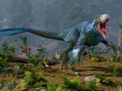 Dinosaurs may have flourished right up to when the asteroid hit Dinosaurs may have flourished right up to when the asteroid hit