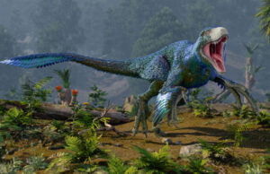 Dinosaurs may have flourished right up to when the asteroid hit Dinosaurs may have flourished right up to when the asteroid hit
