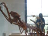 The first people to set foot in Australia were fossil hunters The first people to set foot in Australia were fossil hunters